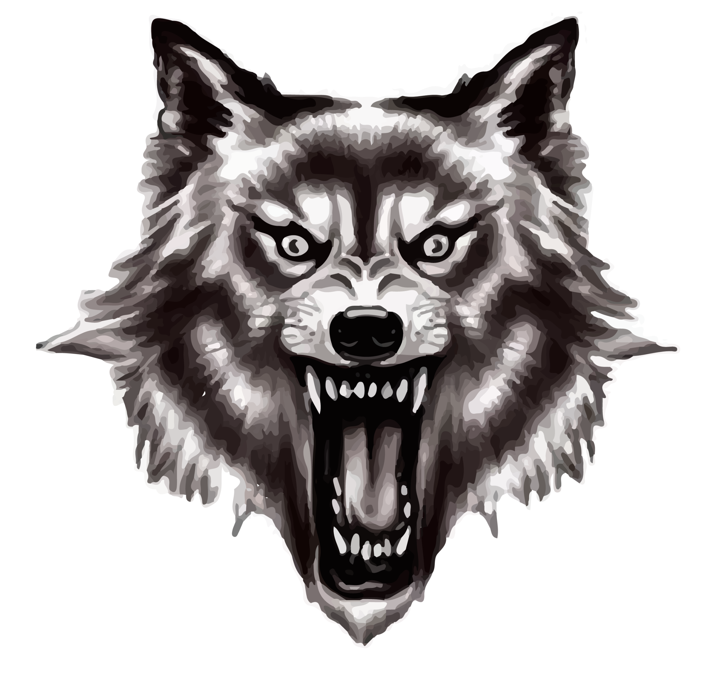 Nightwolves Passau Logo